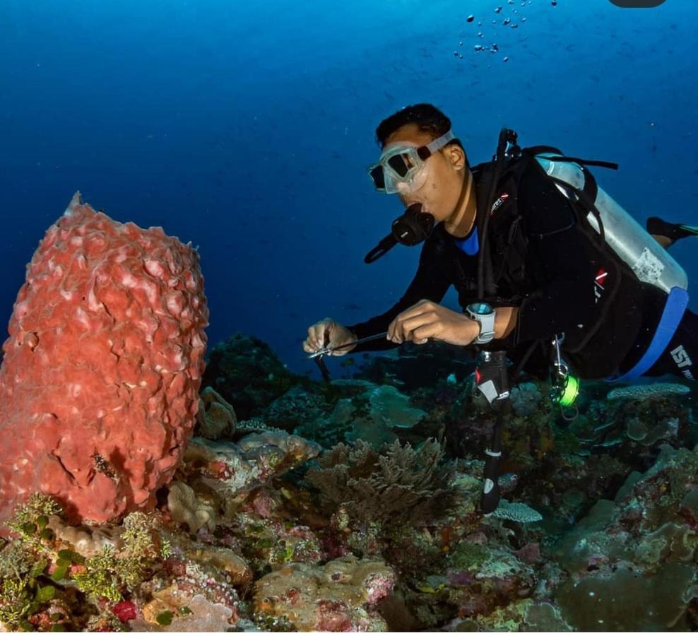 Marind Dive Eco Resort Waha Buitenkant foto