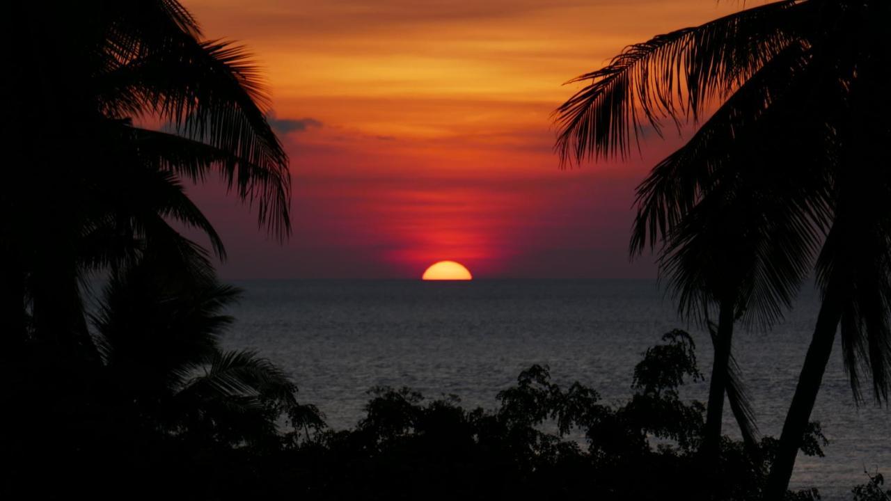Marind Dive Eco Resort Waha Buitenkant foto